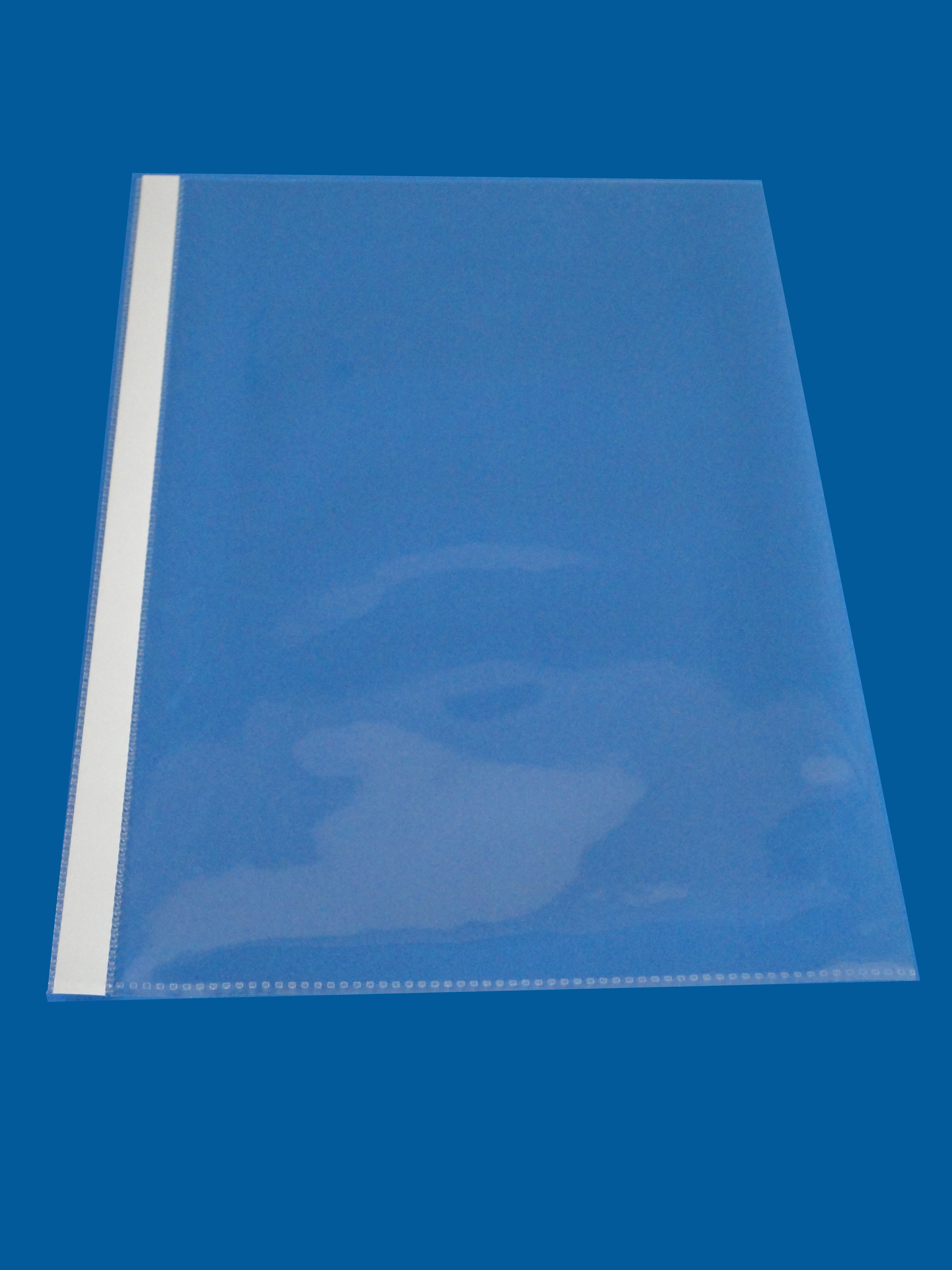 Bolsa Plastica para Caderno e Agenda.jpg